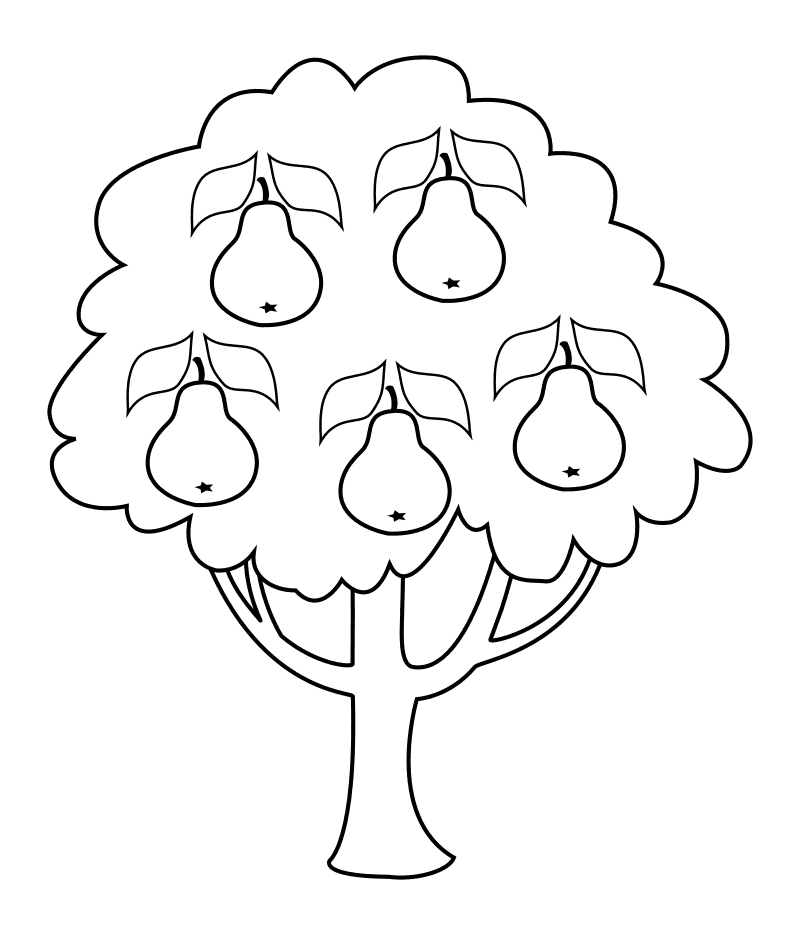 Дерево груша