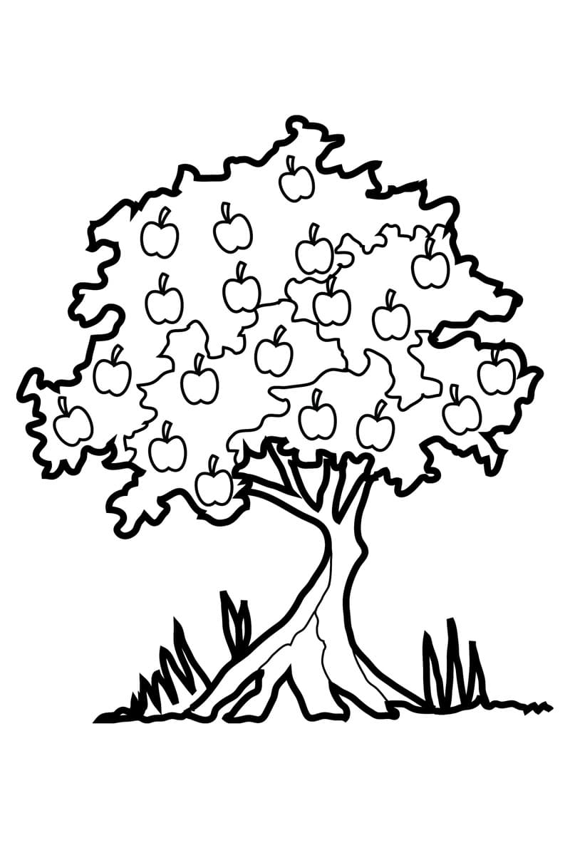 Дерево яблоко раскраска детская