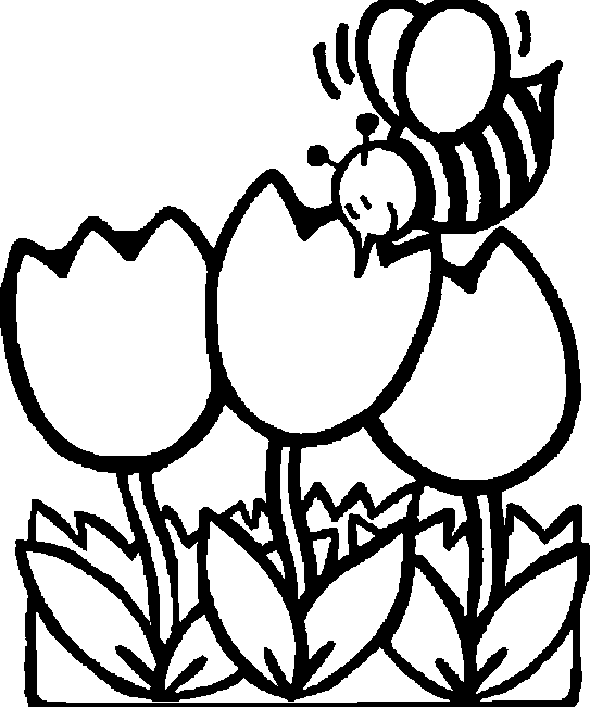 Пчелка на тюльпанах