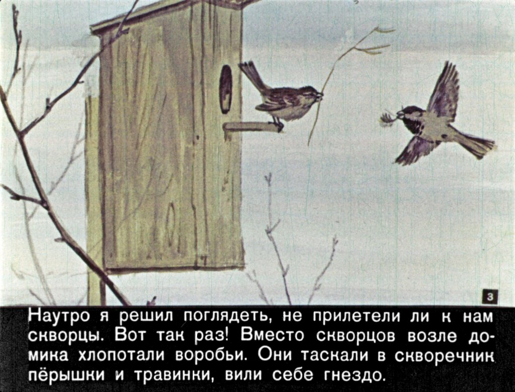 Смотреть диафильм Чир Чирыч