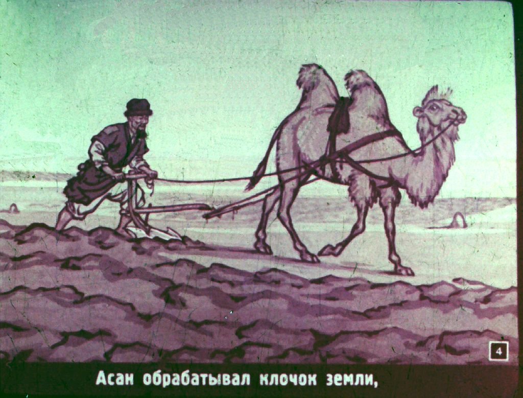 Смотреть диафильм Чудесный сад