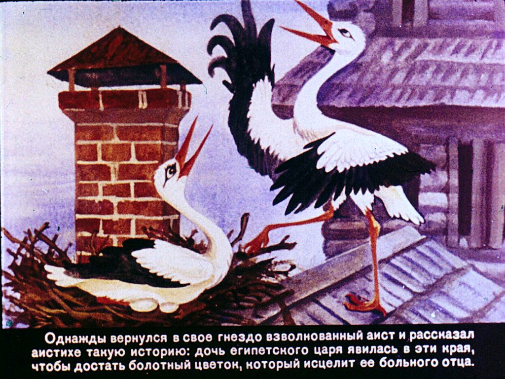 Смотреть диафильм Дочь болотного царя