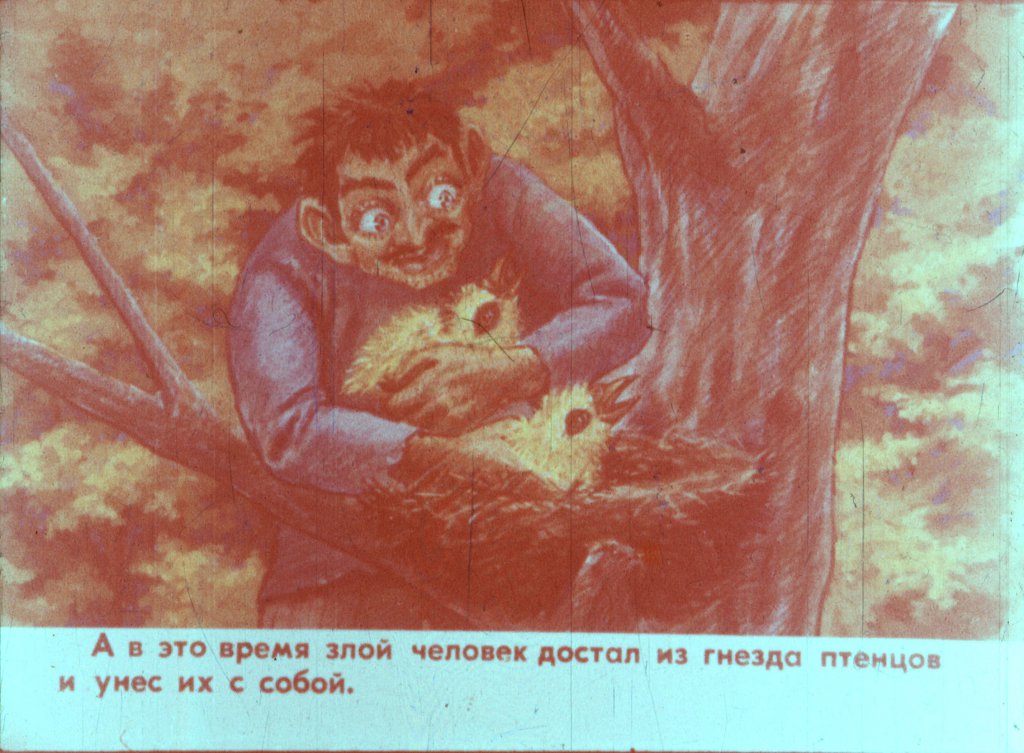 Смотреть диафильм Горлица