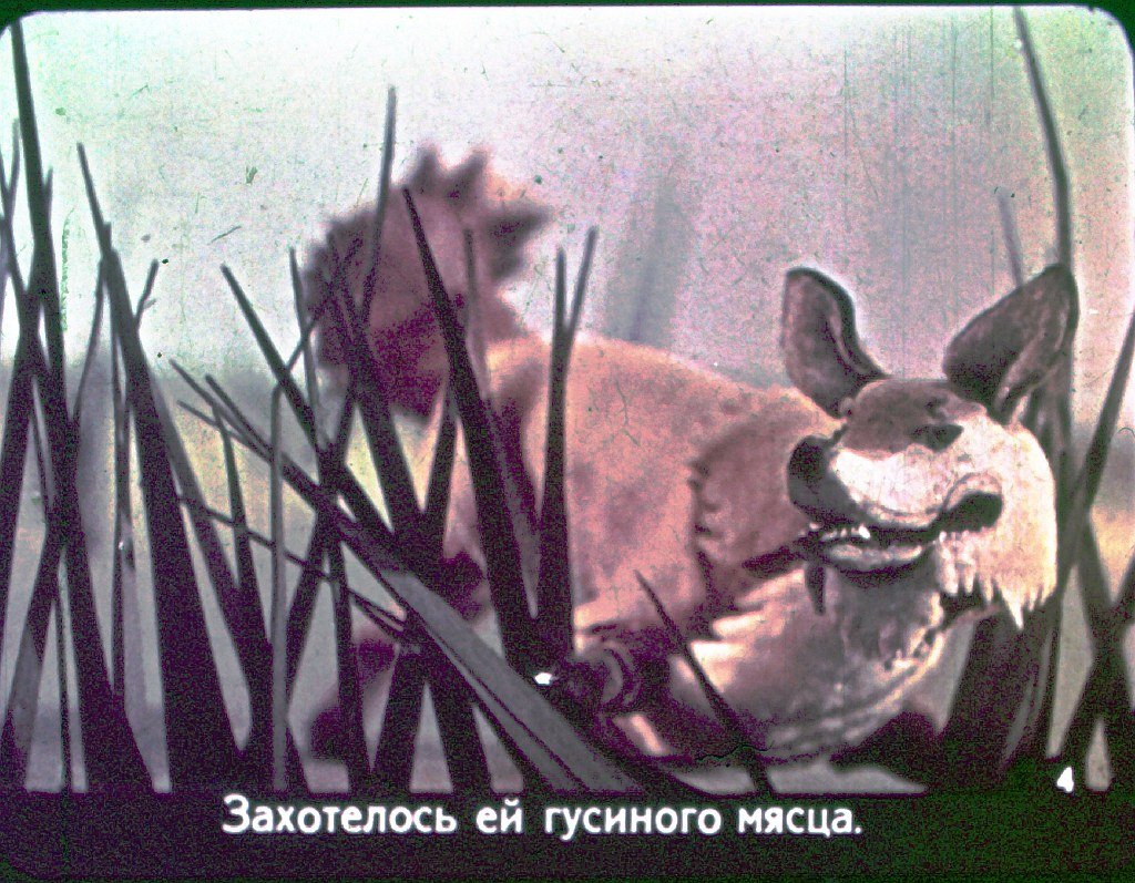 Смотреть диафильм Как гуси лису перехитрили