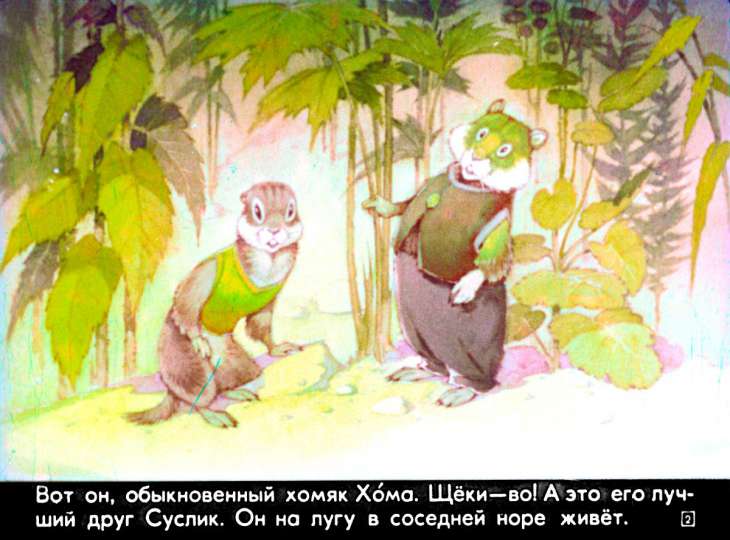 Смотреть диафильм Как Хома рассмеялся