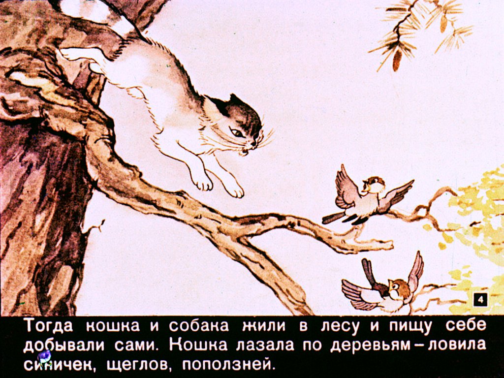 Смотреть диафильм Как кошка с собакой дружить перестали