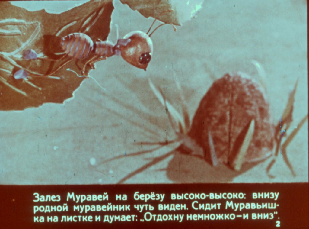 Смотреть диафильм Как муравьишка домой спешил (2)