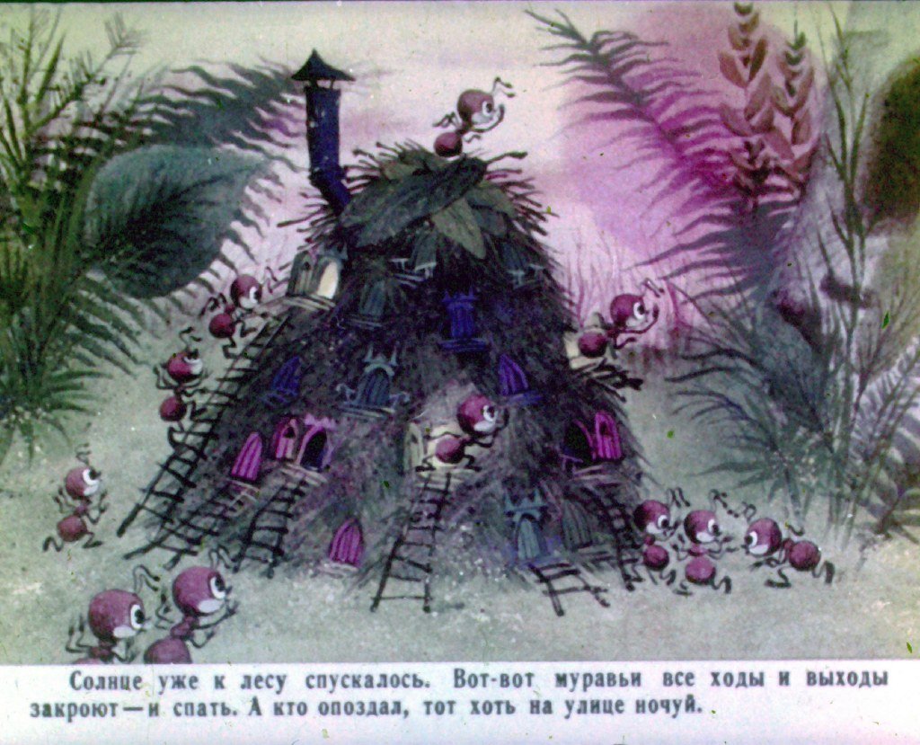 Смотреть диафильм Как муравьишка домой спешил