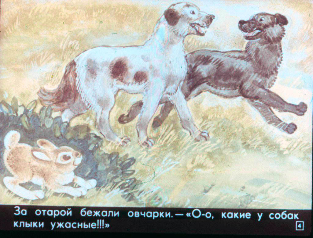 Смотреть диафильм Как зайчишка ума набрался