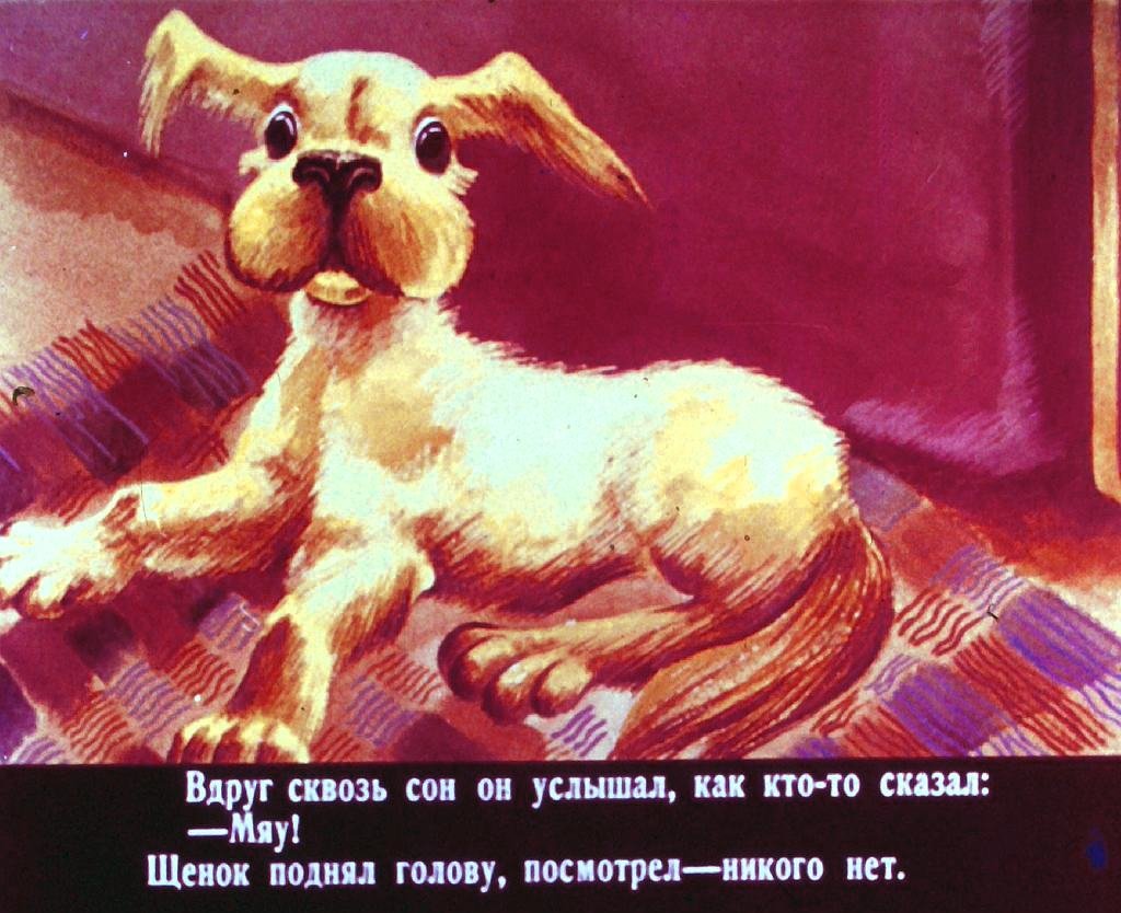 Смотреть диафильм Кто сказал "мяу"? (2)