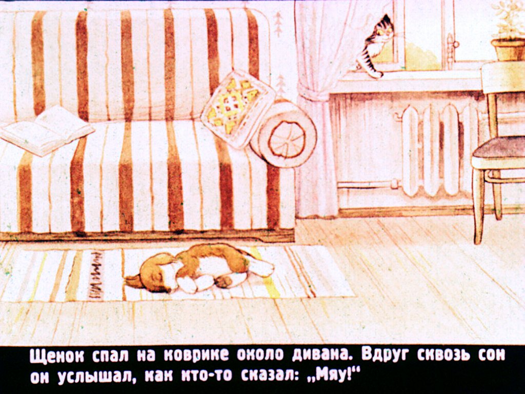 Смотреть диафильм Кто сказал "мяу"?