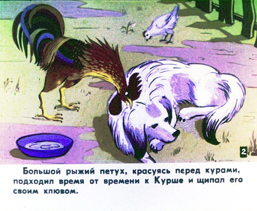 Смотреть диафильм Курша (2)