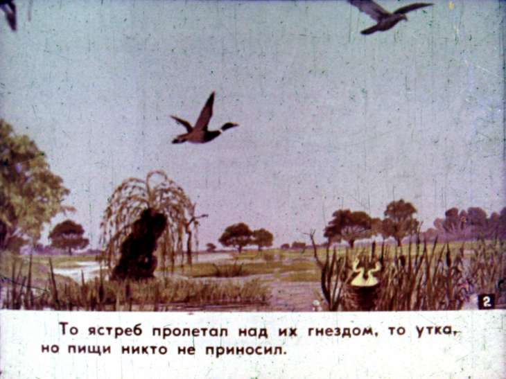 Смотреть диафильм Ленивая цапля