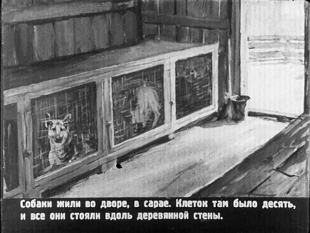 Смотреть диафильм Ниагара