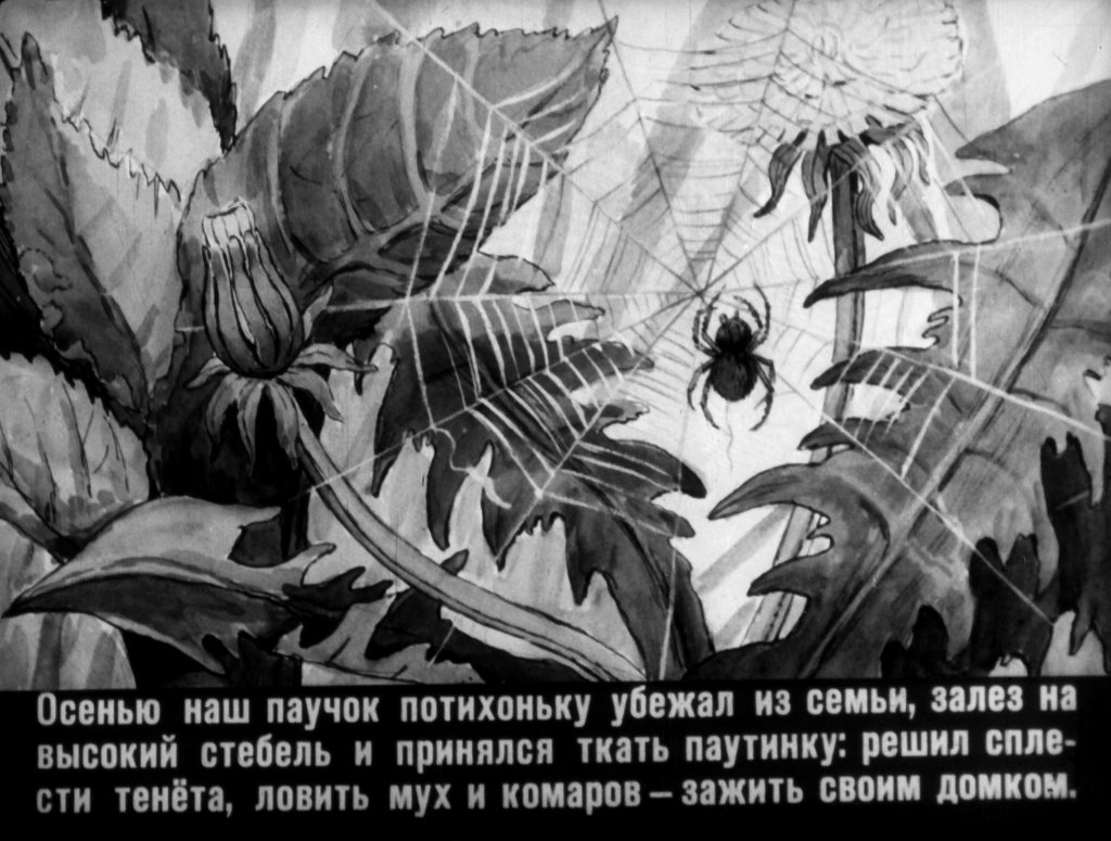 Смотреть диафильм Паучок пилот