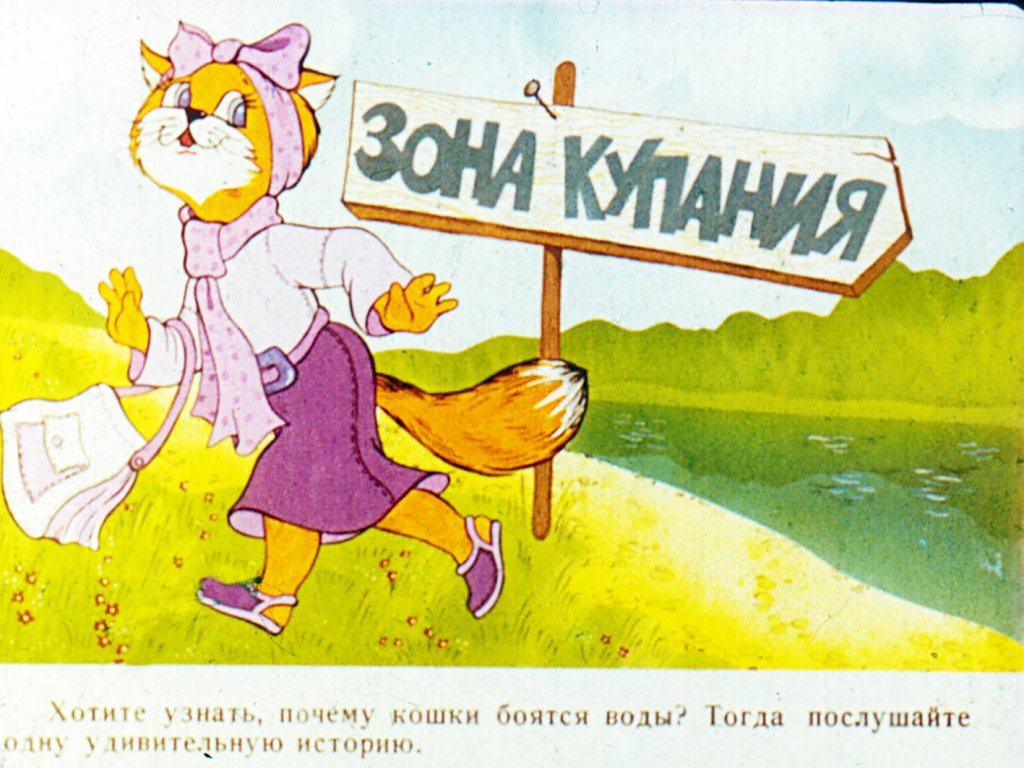 Смотреть диафильм Почему кошки боятся воды