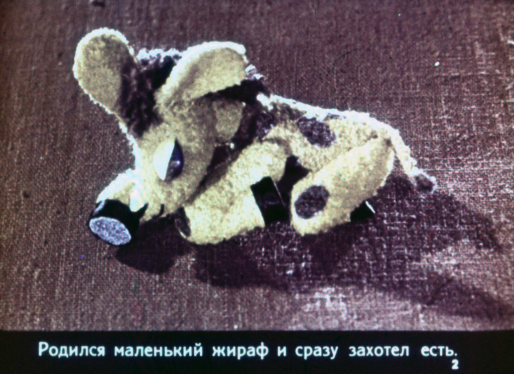 Смотреть диафильм Почему у жирафа шея длинная, а рожки короткие