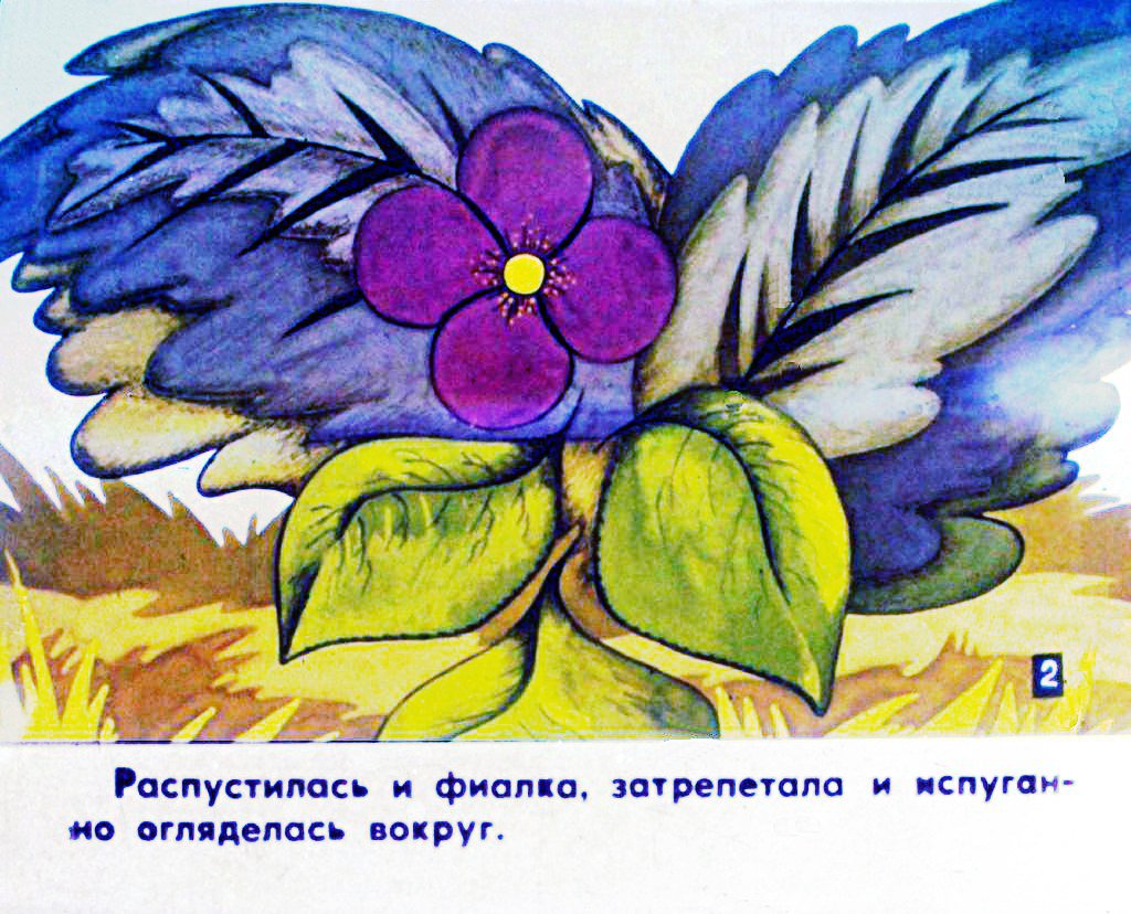Смотреть диафильм Про фиалку. Часть 1