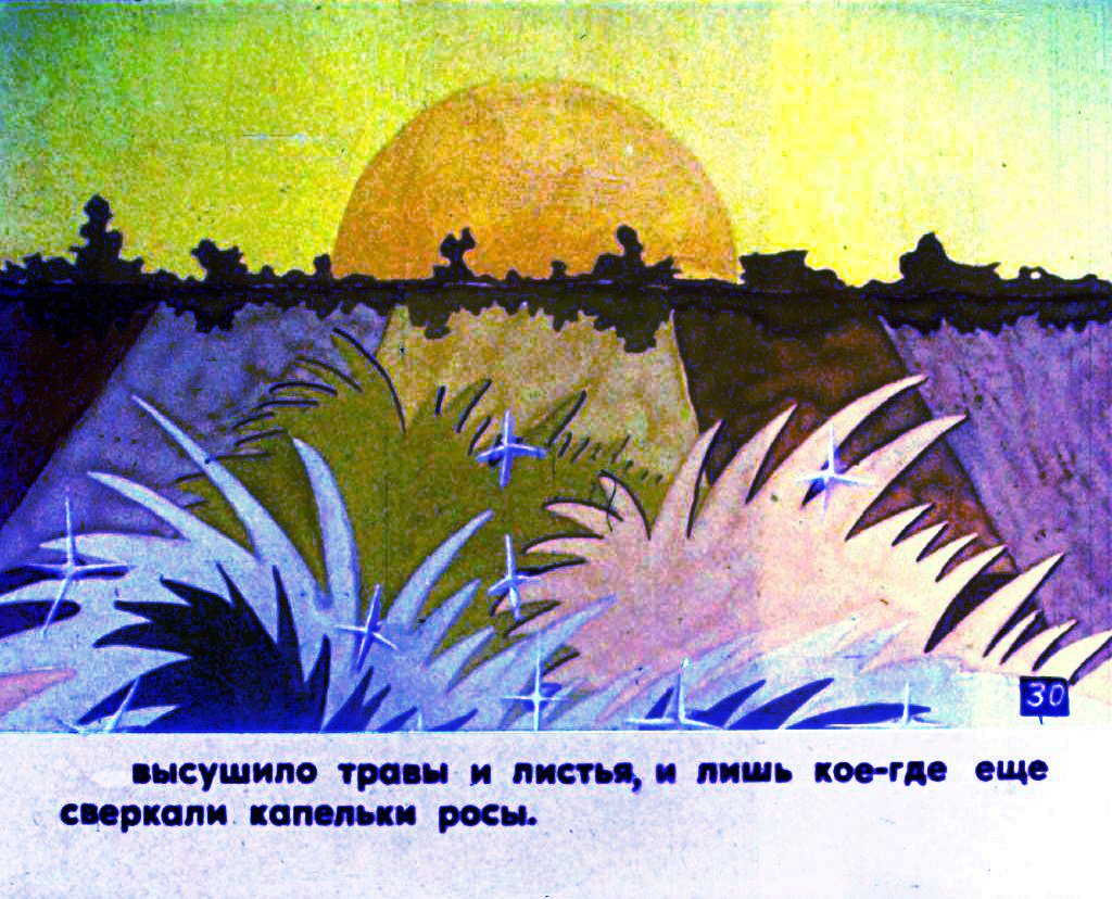 Смотреть диафильм Про фиалку. Часть 2