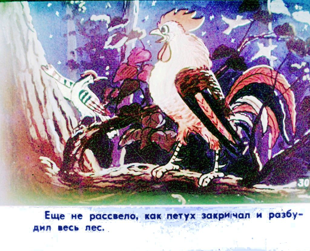 Смотреть диафильм Прогулка Кукареку. Часть 2