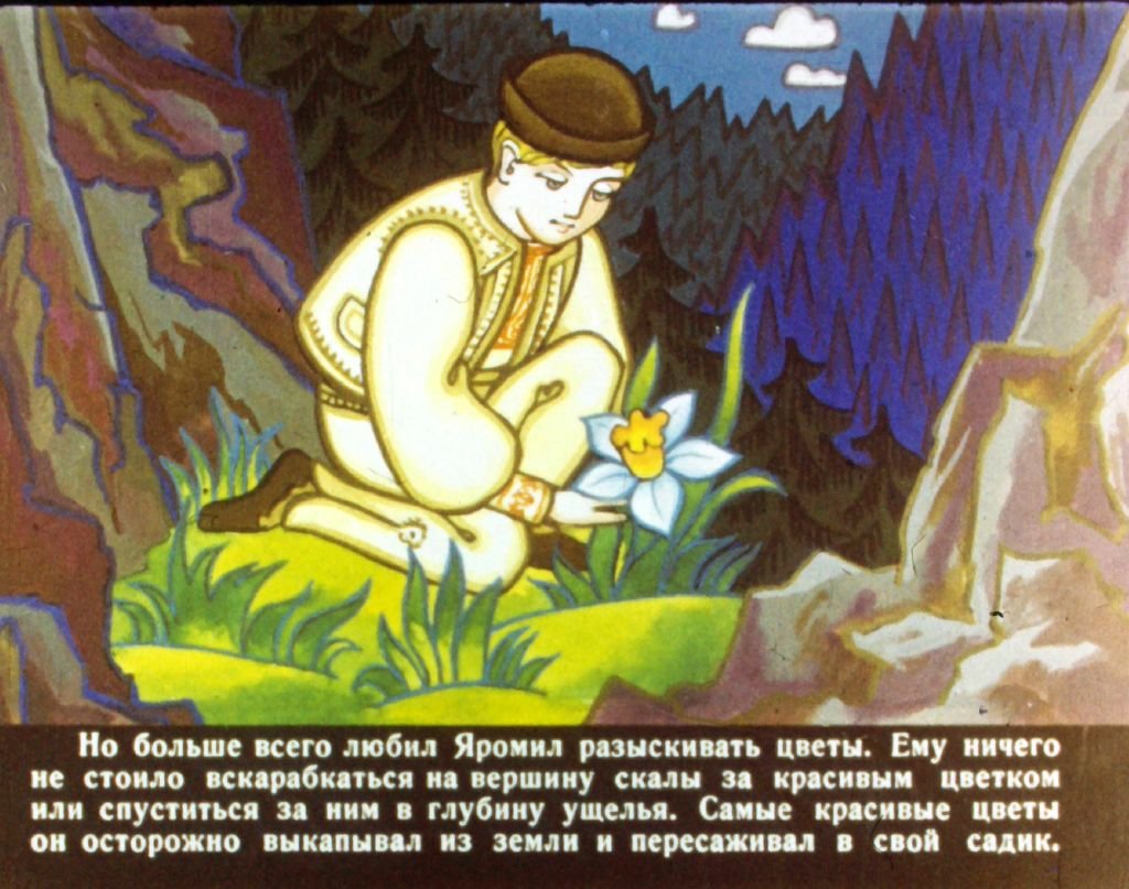 Смотреть диафильм Счастье Яромила