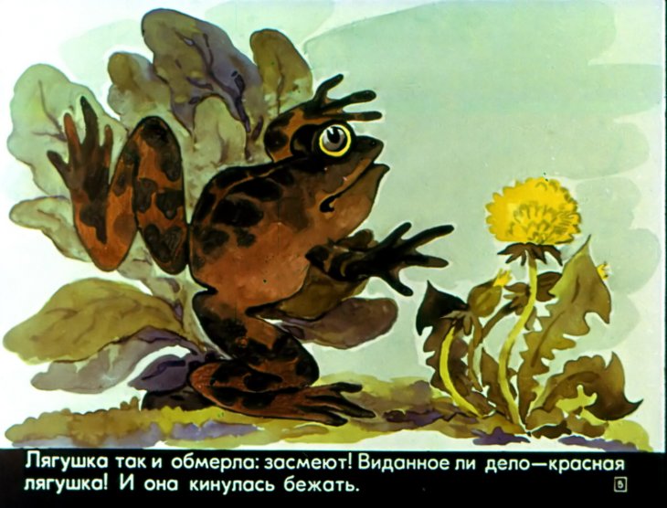 Смотреть диафильм Сказка про необыкновенную лягушку
