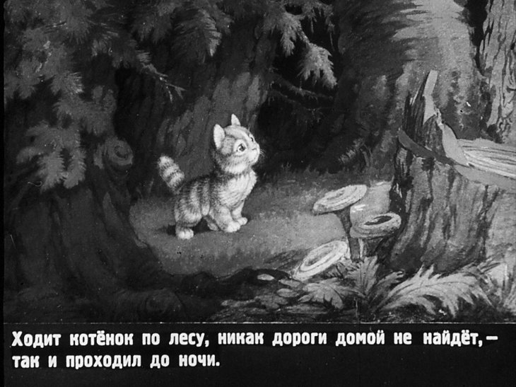 Смотреть диафильм Упрямый котёнок