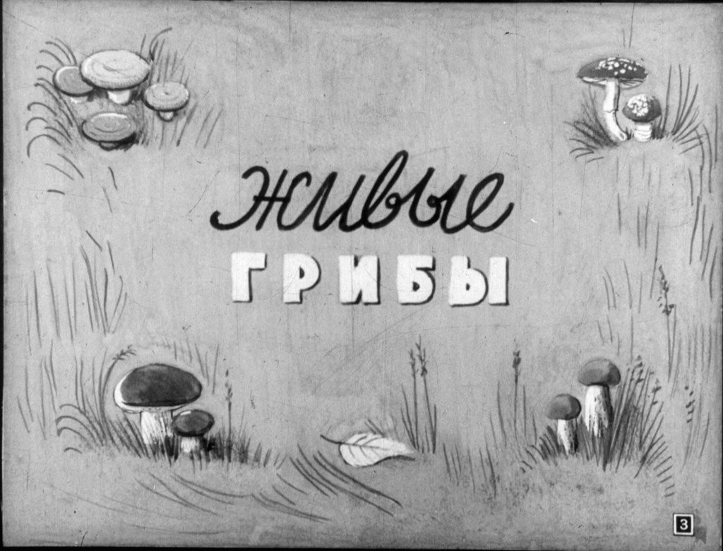 Смотреть диафильм Весёлые картинки (2)