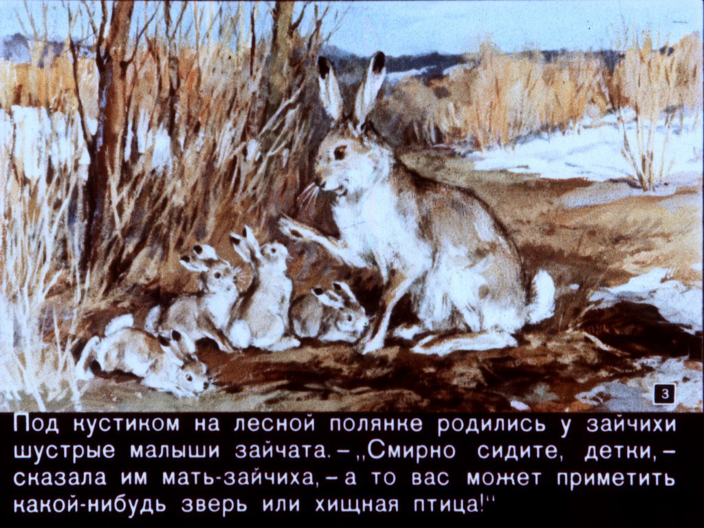 Смотреть диафильм Зайкин год