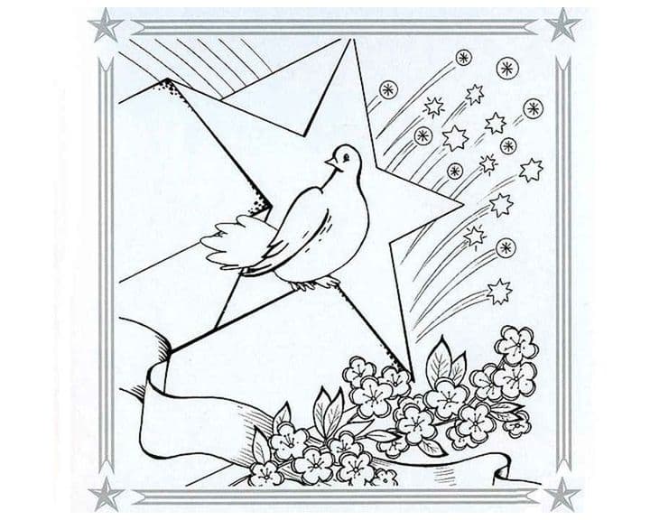 Звезда и голубь