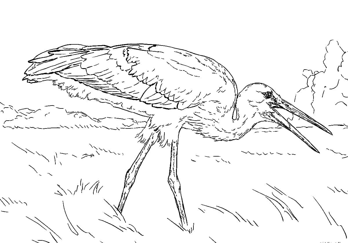 Аист антистресс