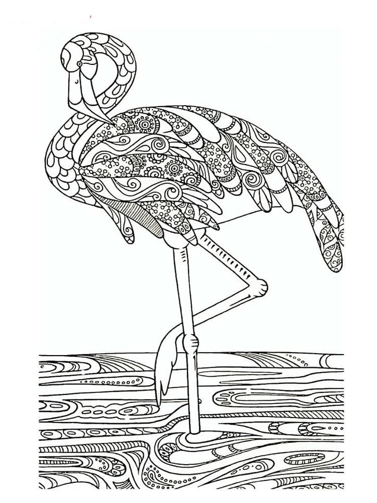 Большой фламинго