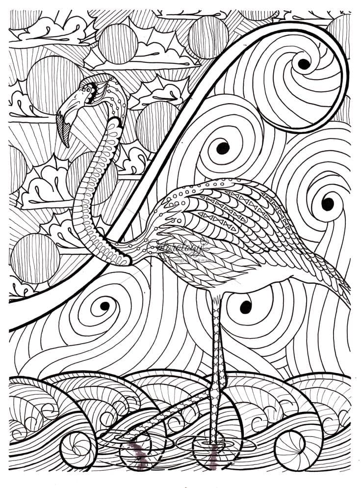 Фламинго и природа