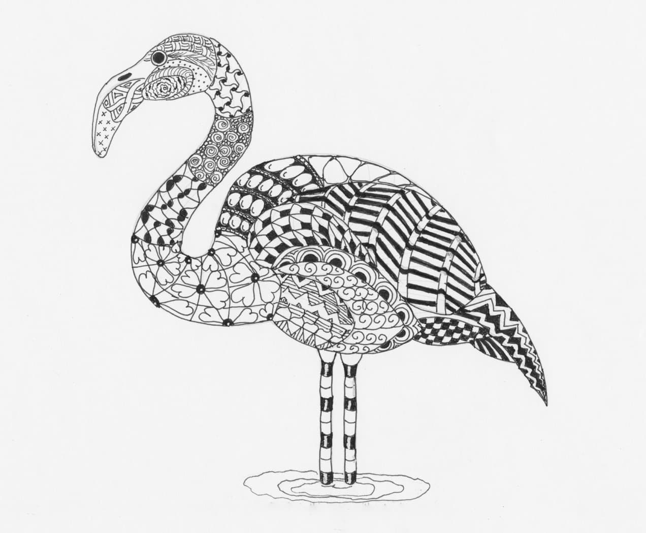 Фламинго в воде