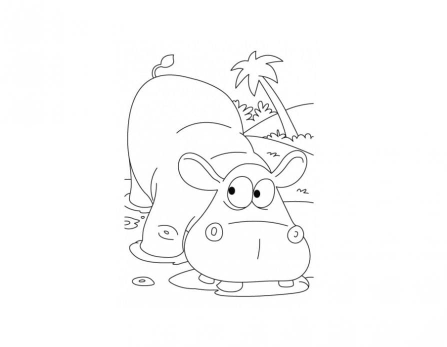 Красивый малыш бегемот