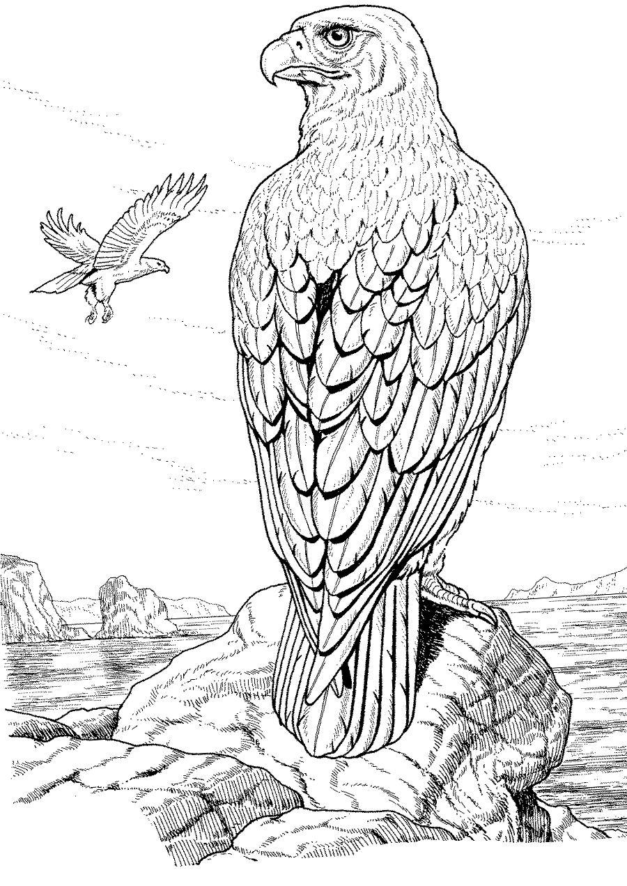 Беркут антистресс