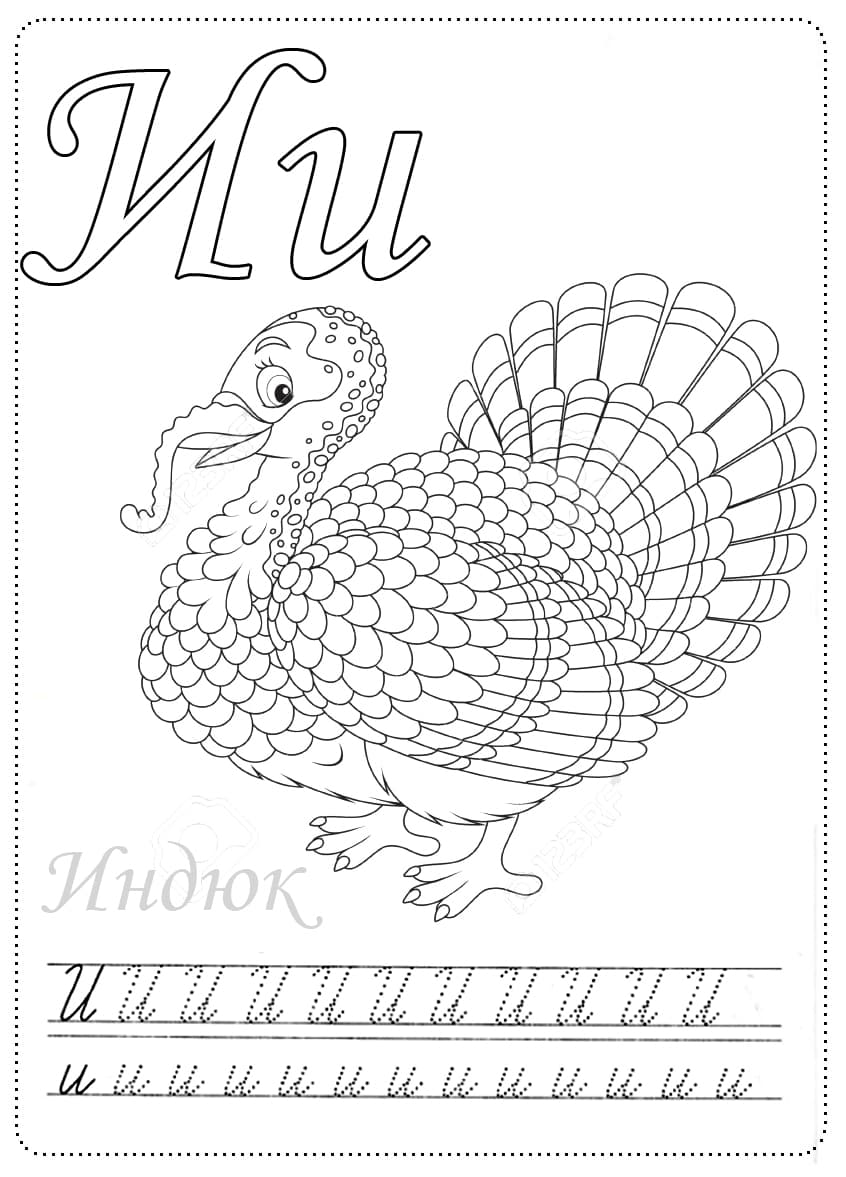 Раскраска индюк
