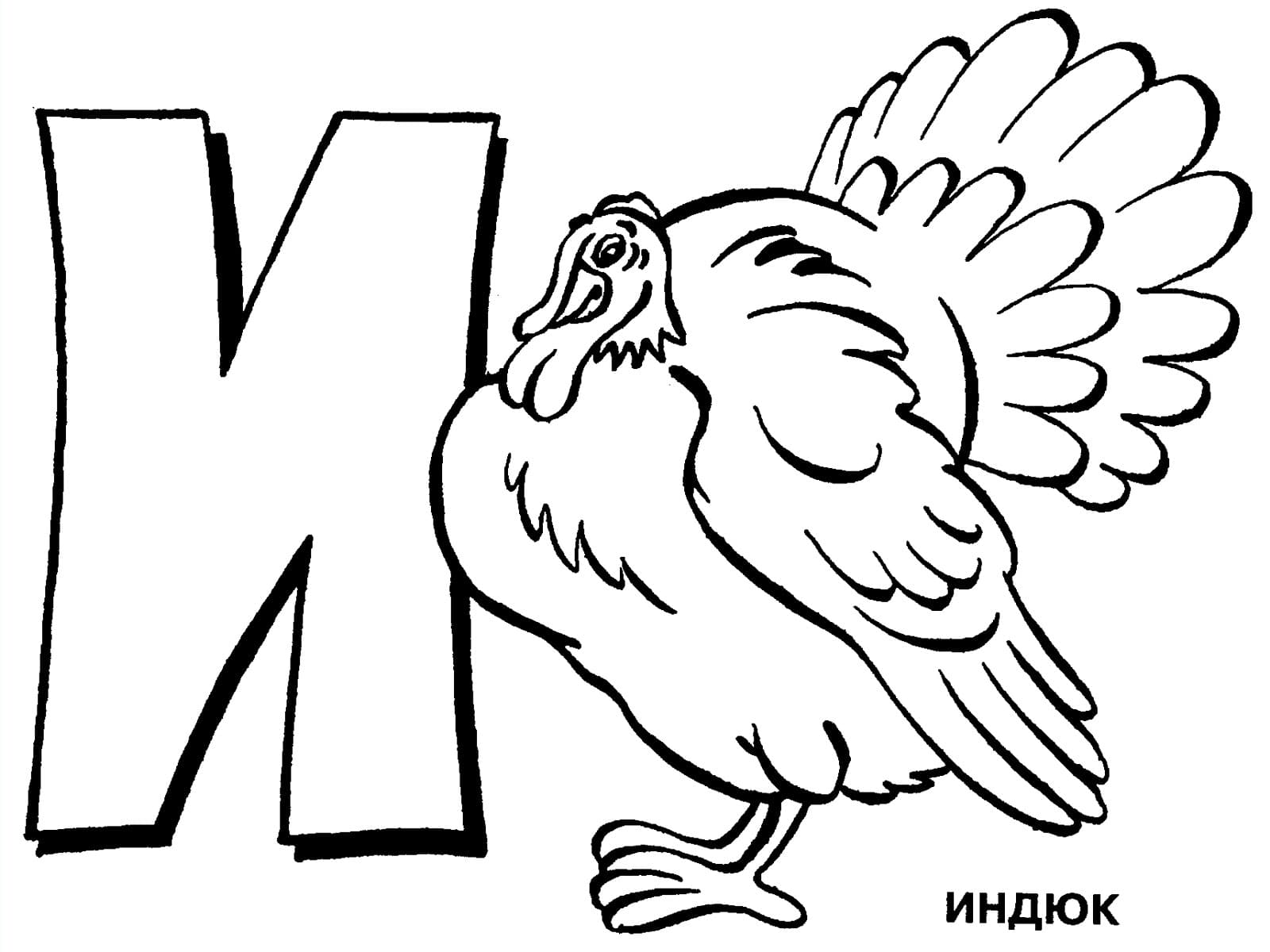 Раскраска с буквой И индюк