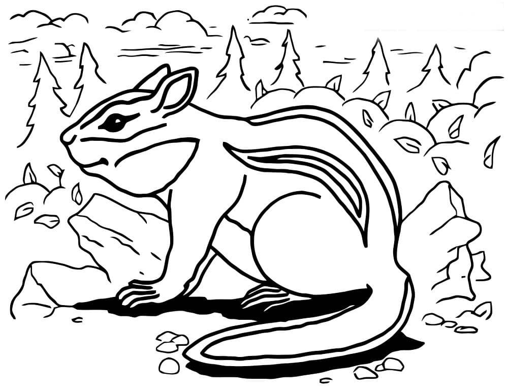 Бурундук на холме