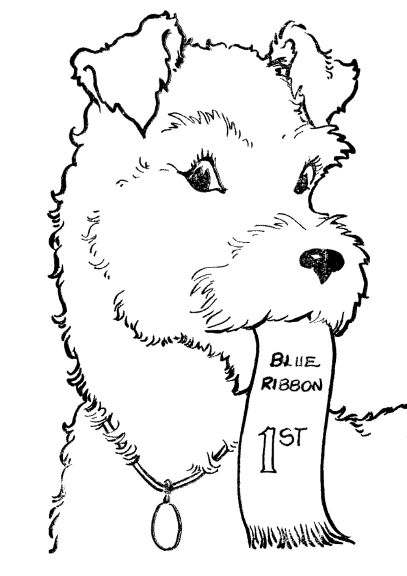 Морда собаки