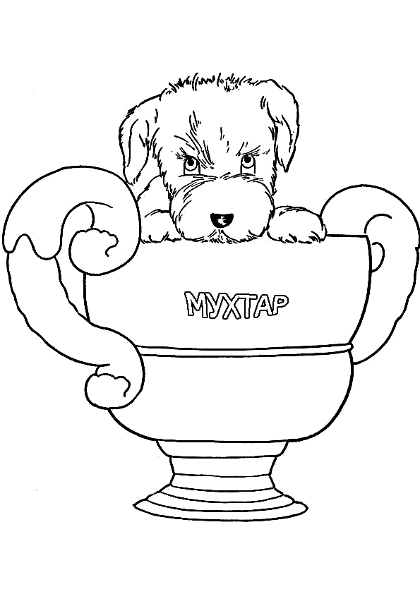 Щенок мухтар