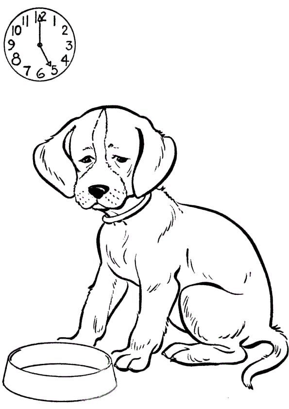 Собака и миска