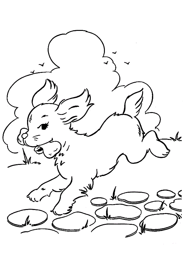 Собака на прогулке