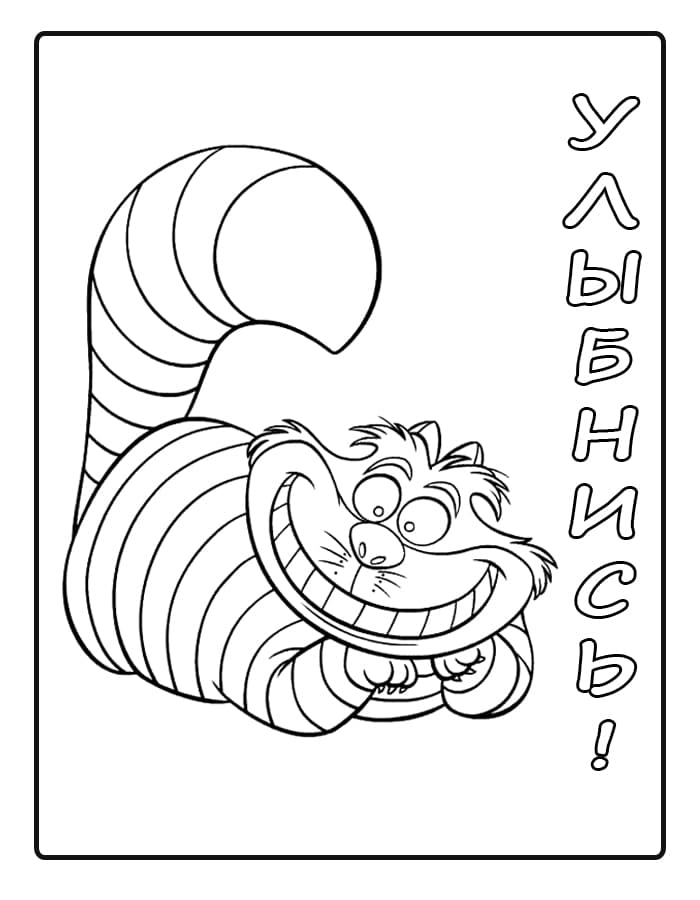 Толстый кот