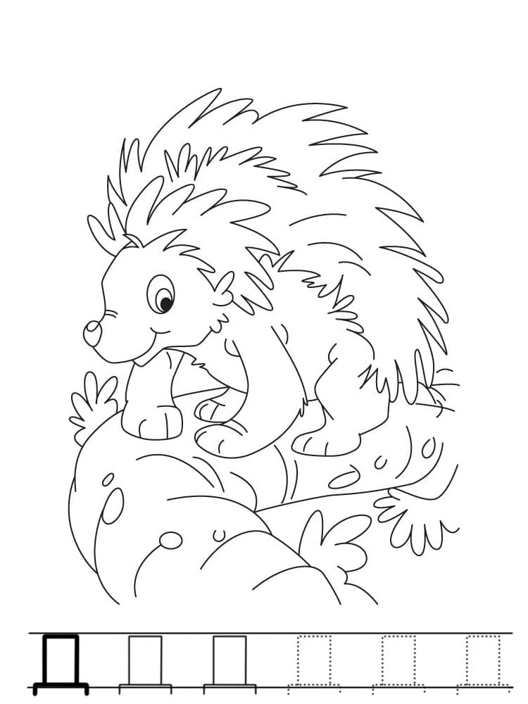 Буква Д дикобраз