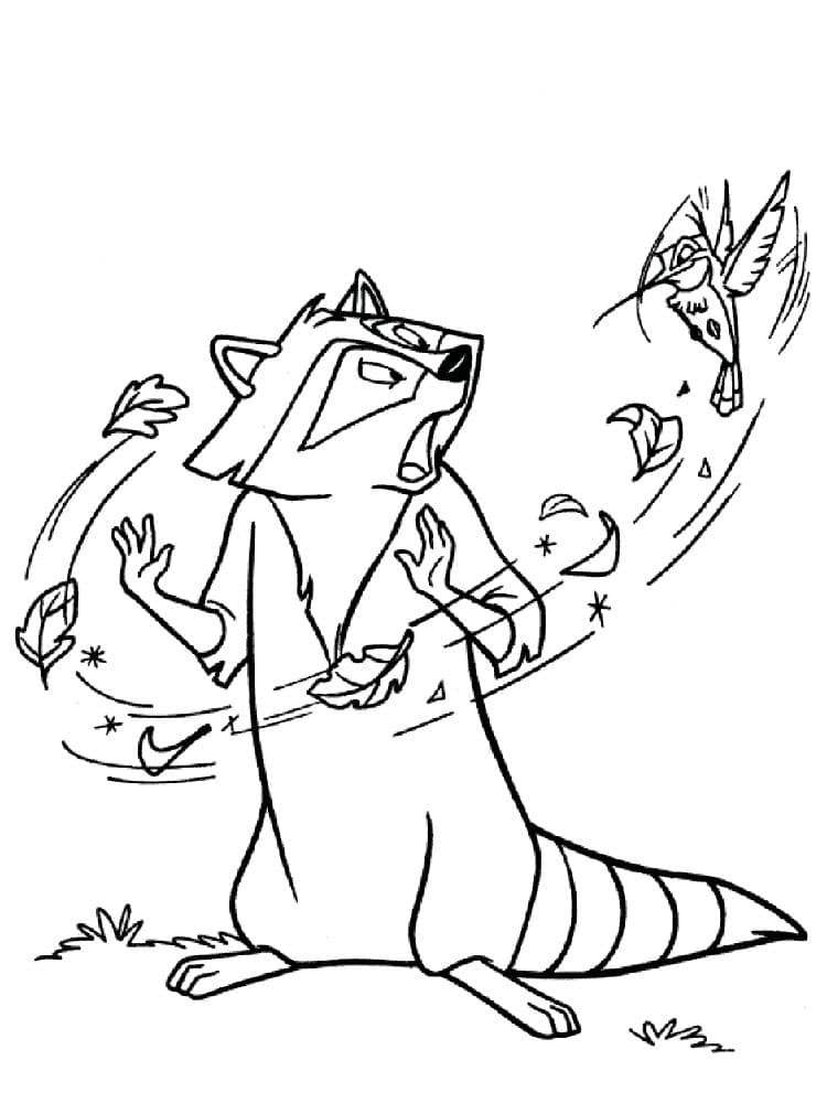 Енот и птичка