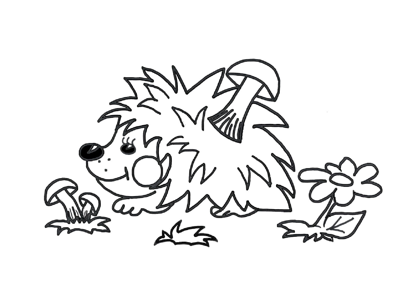 Детская раскраска ежик