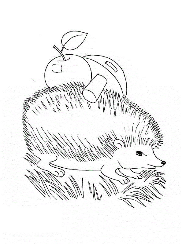 Ежик несет яблоко и гриб