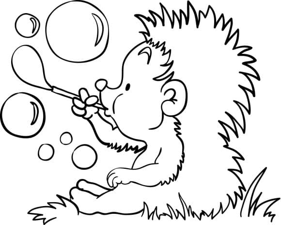 Ежик пускает пузыри