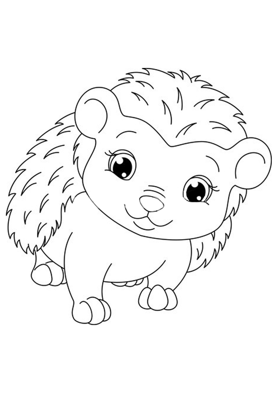 Раскраска для детей ежик